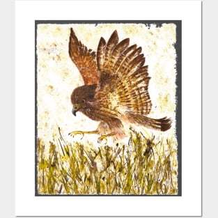 Aww... Kestrel Manoeuvres in the Park Posters and Art